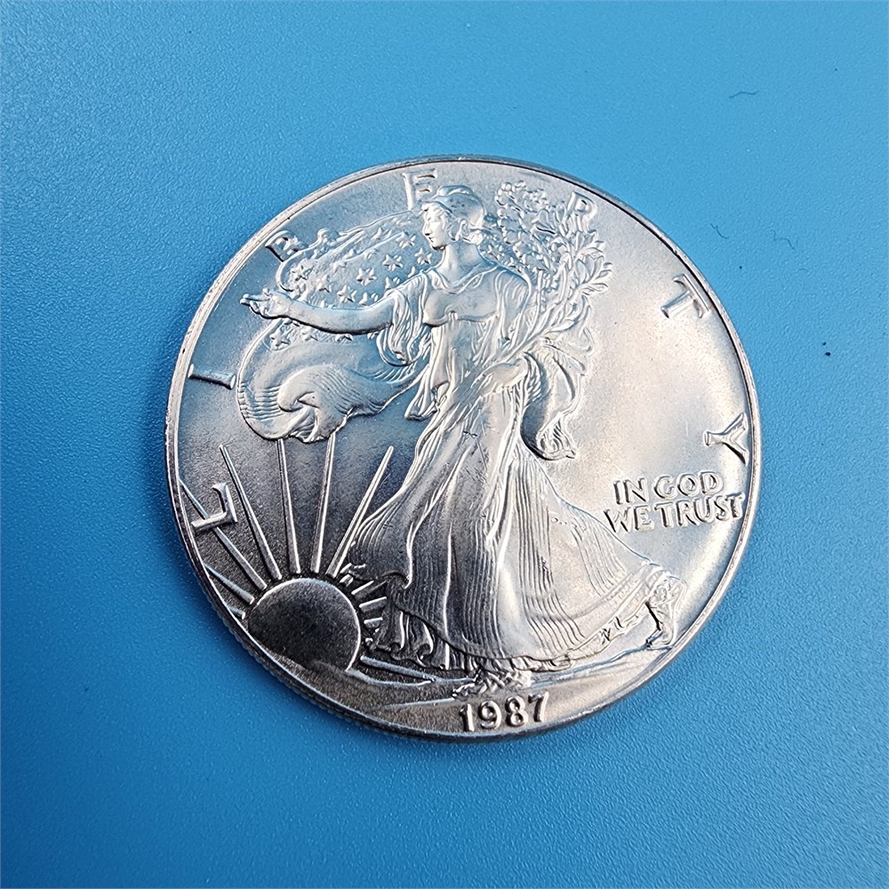 Bids Up 19 Walking Liberty Silver Dollars Mixed Years 1 oz Each